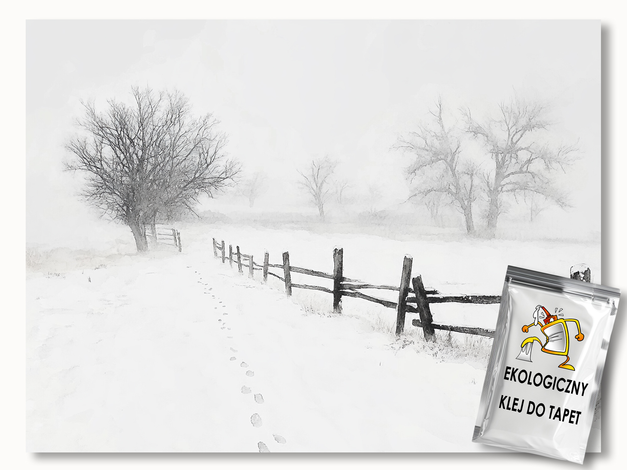 Fototapeta Flizelina Krajina Zima Sníh Mráz Závěje Mlha Stopa 250x175 110g