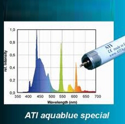 Zářivka T5 Pro Mořské Akvárium, Osvětlení, Bílé Modré Světlo