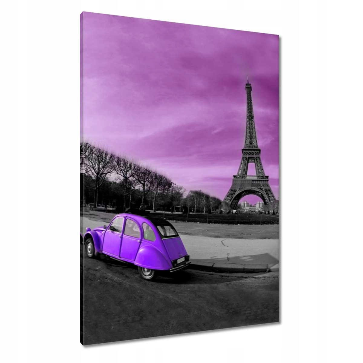 Obrazy 70x100 Fialový Citroen