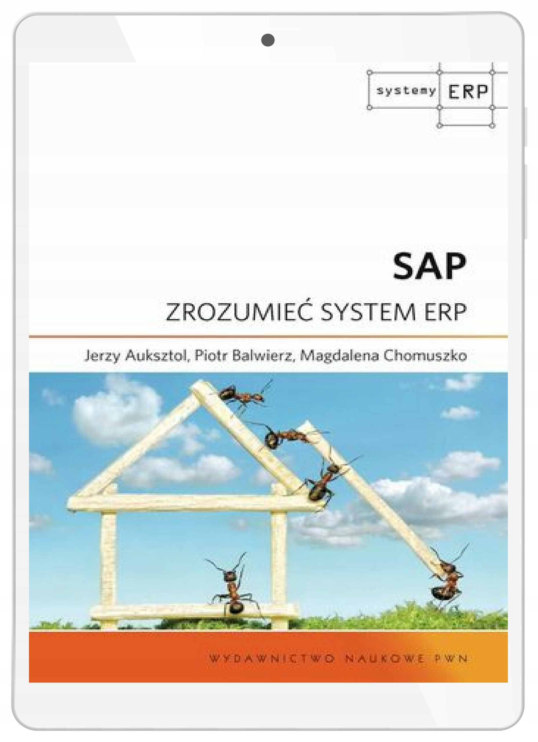 SAP. Zrozumieć system ERP
