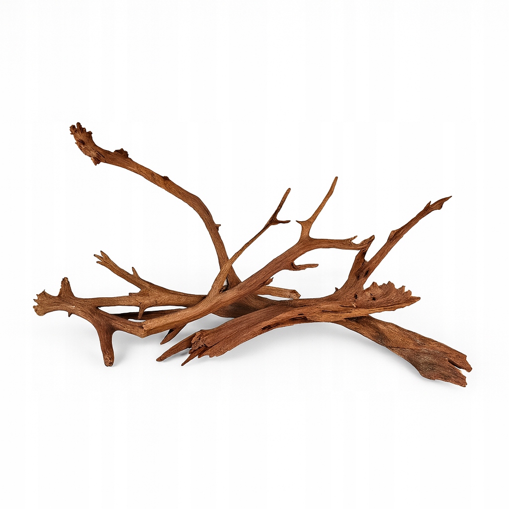 Kořen Pro Akvárium Terárium Mangrowiec Větev Sada Aranžování 3 Ks