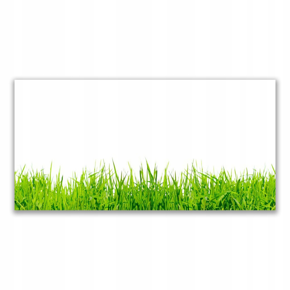 

Fotoobraz nowoczesny 120x60 Trawa Natura Roślina