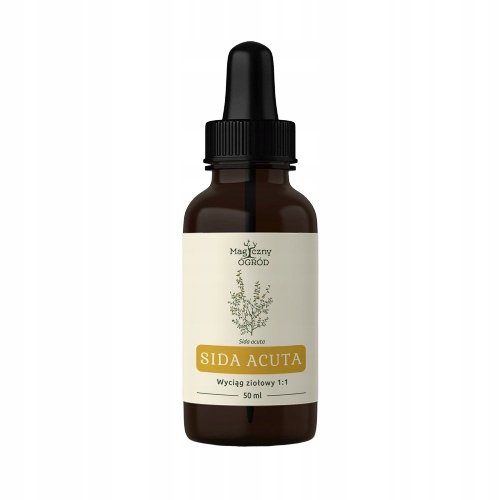 

Sida acuta nalewka 1:1 50ml Magiczny Ogród