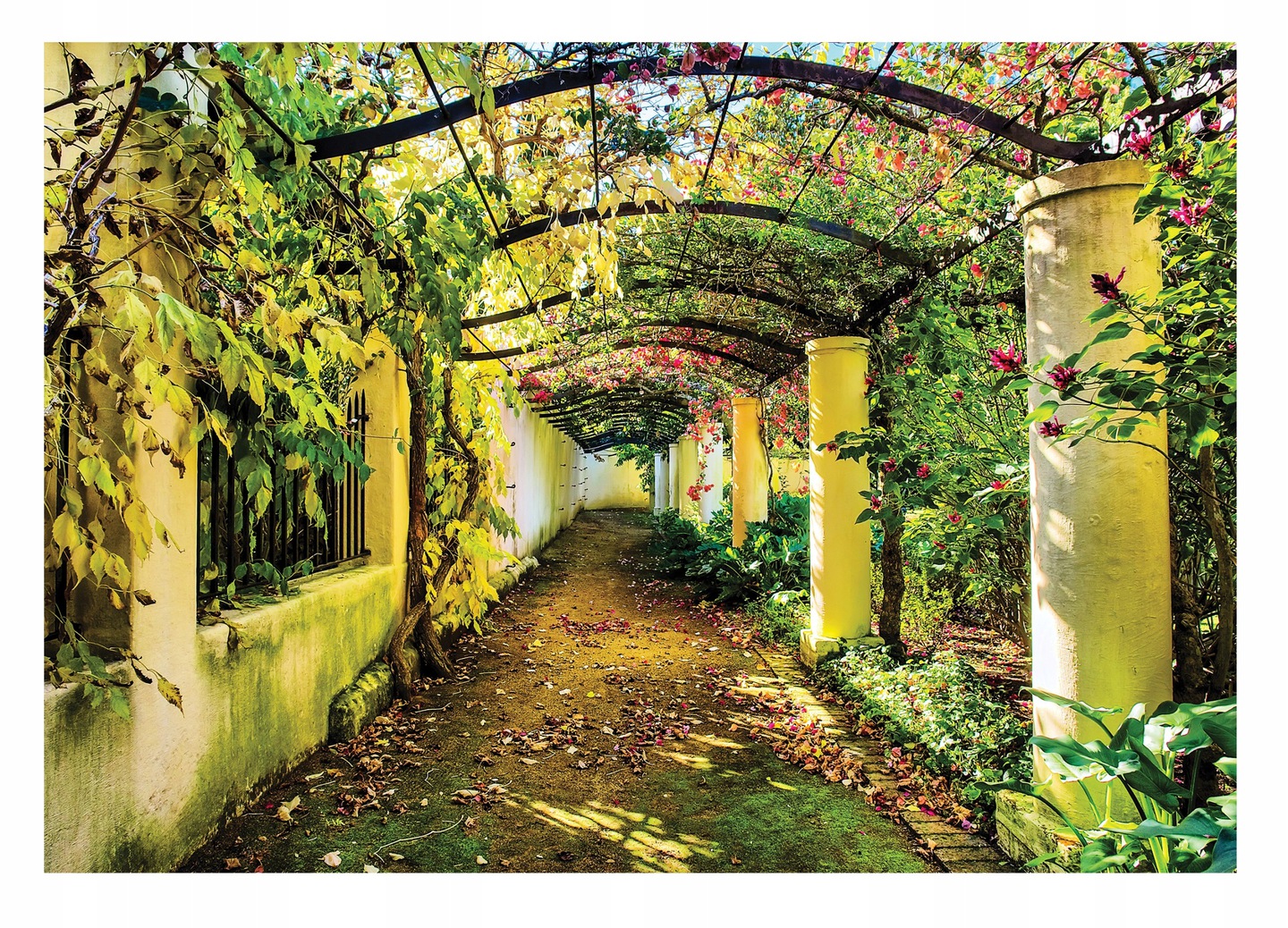 Fototapeta Zahrada 3D Pergola Příroda Do Ložnice Obývacího Pokoje Tapeta 368x254