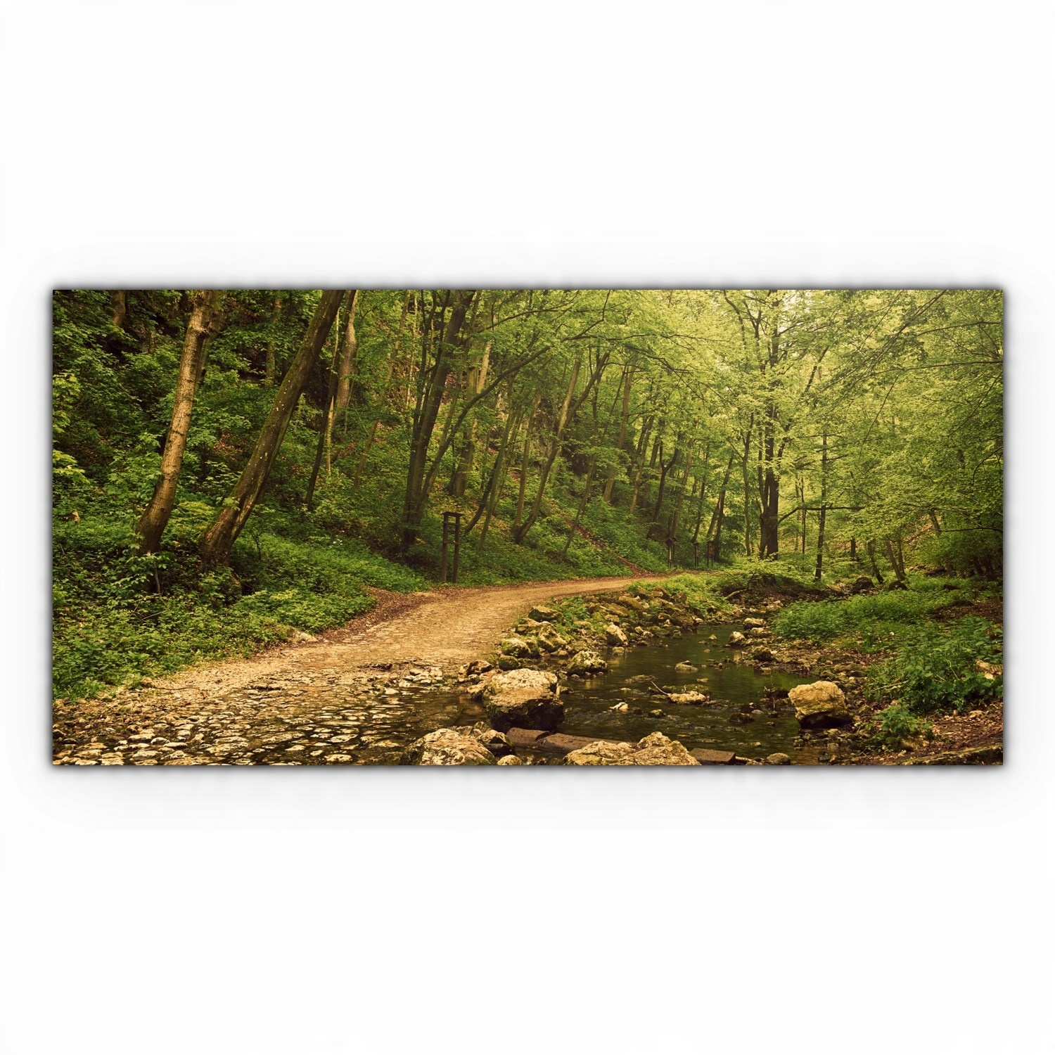 

Canvas na ramie ścienny 120x60 Ścieżka Las Drzewa