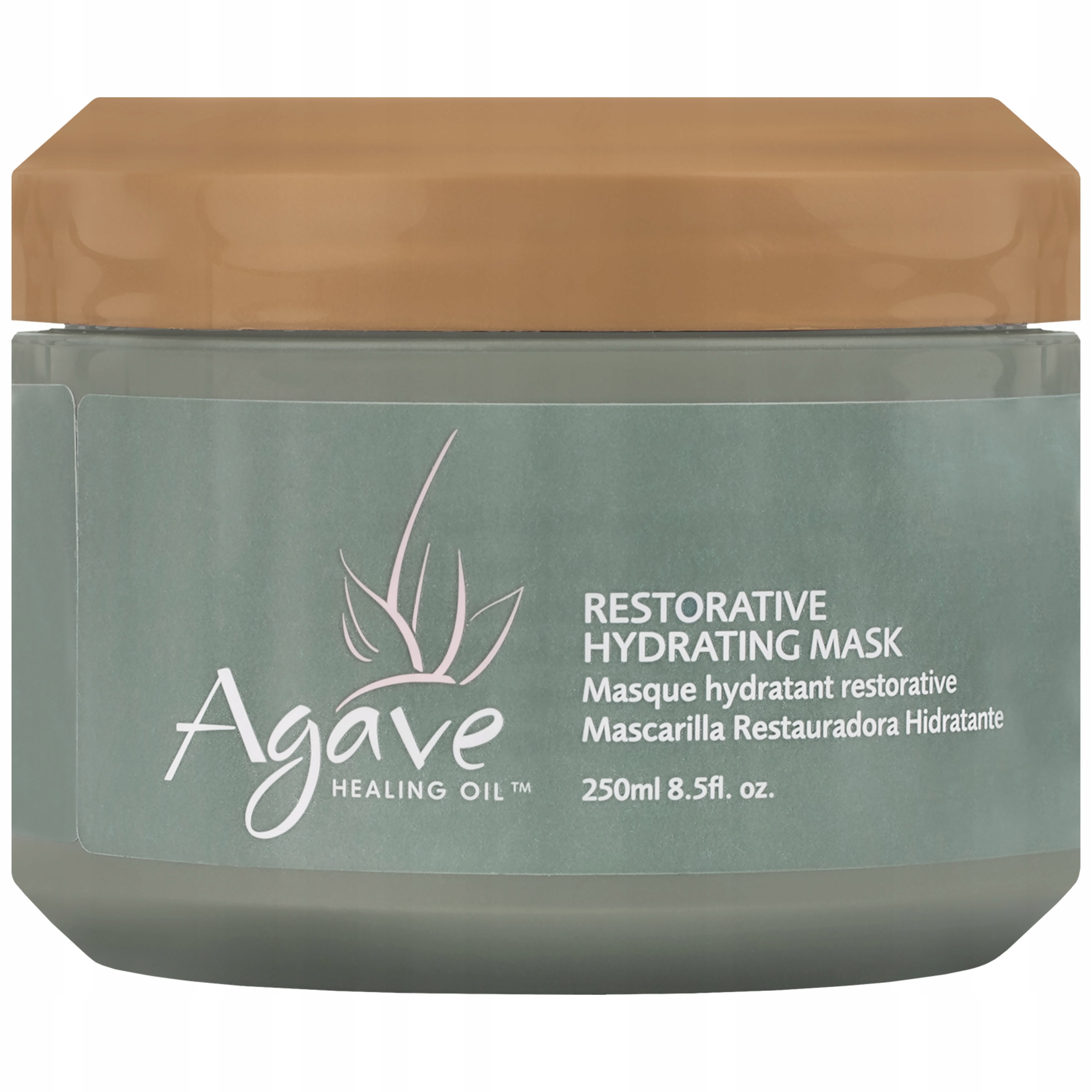 Agave maska po chemickém ošetření 250 ml Restorative Hydrating Mask