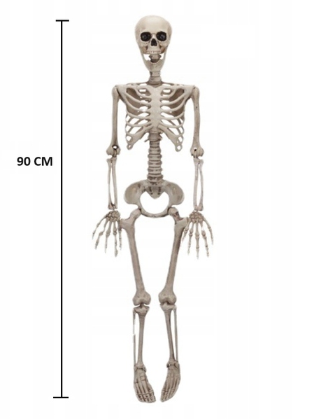 DEKORACJA SZKIELETOR SZKIELET HALLOWEEN 90 CM EAN (GTIN) 5904665019245