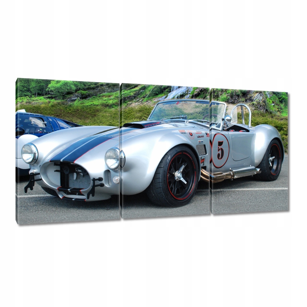 

Obrazy 120x60 Shelby