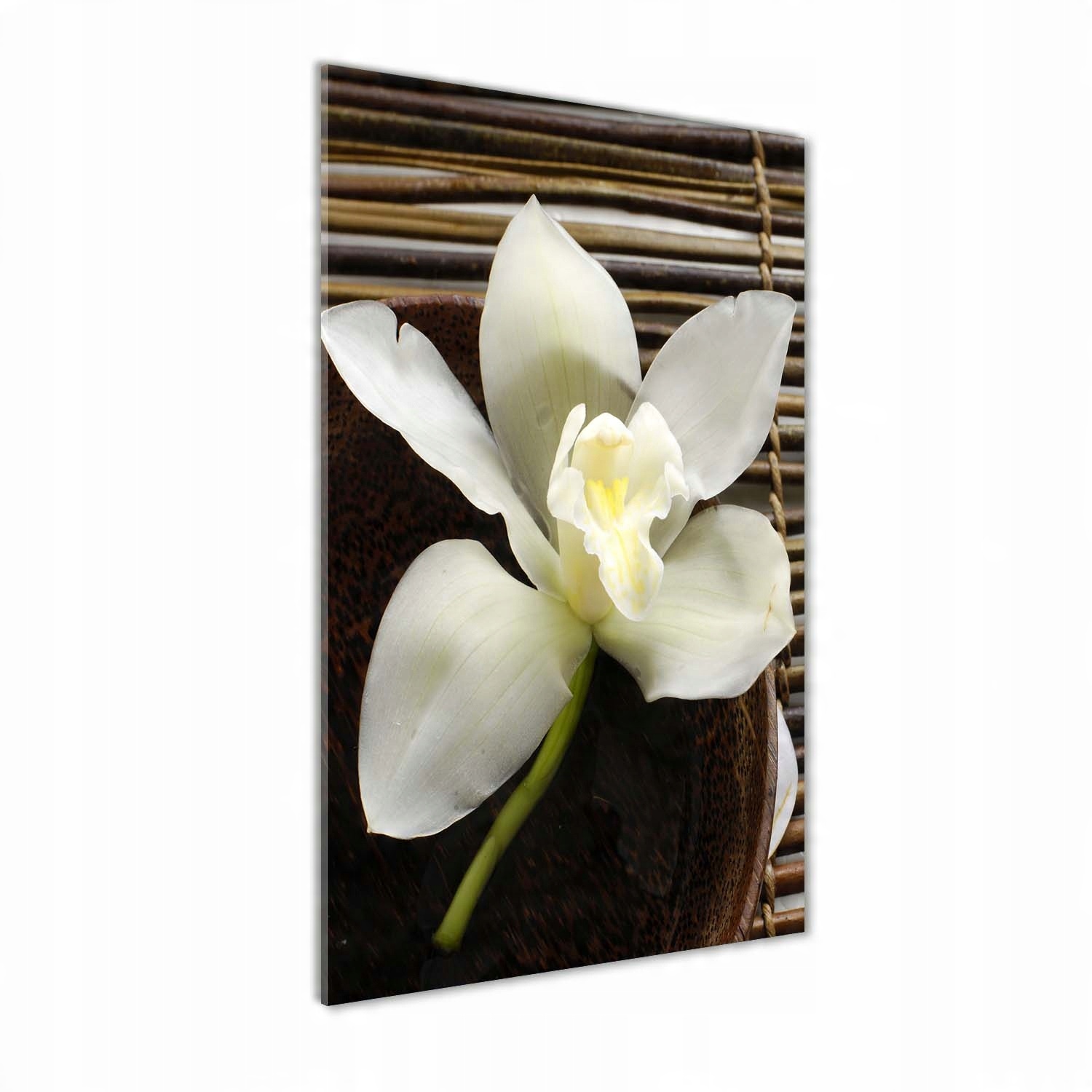 

Foto-obraz szkło hartowane Orchidea 60x120 cm