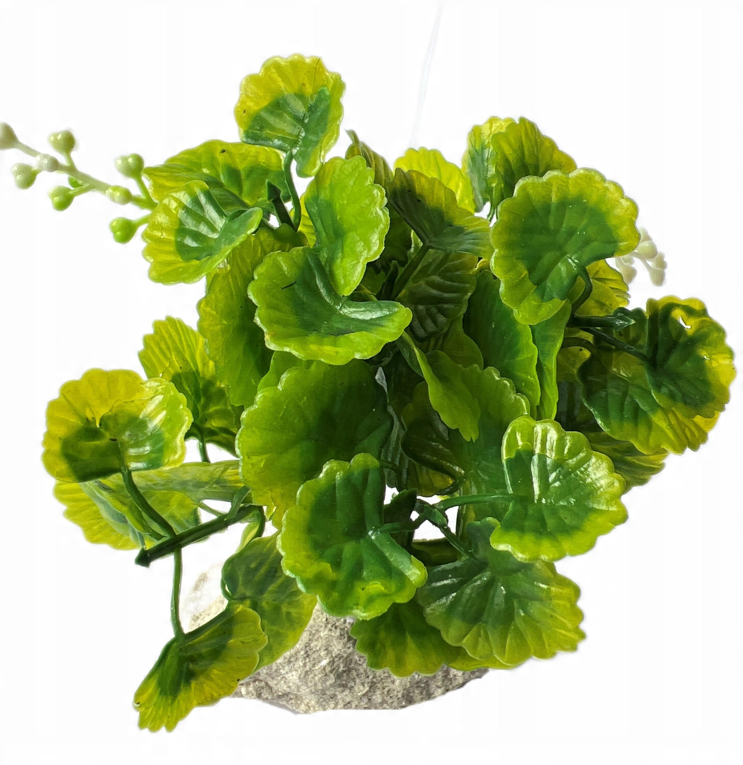 

Roślina Roślinka Sztuczna Do Akwarium Terarium