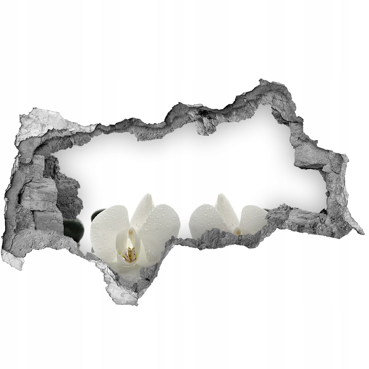 

Samoprzylepna dziura na ścianę Naklejka Orchidea