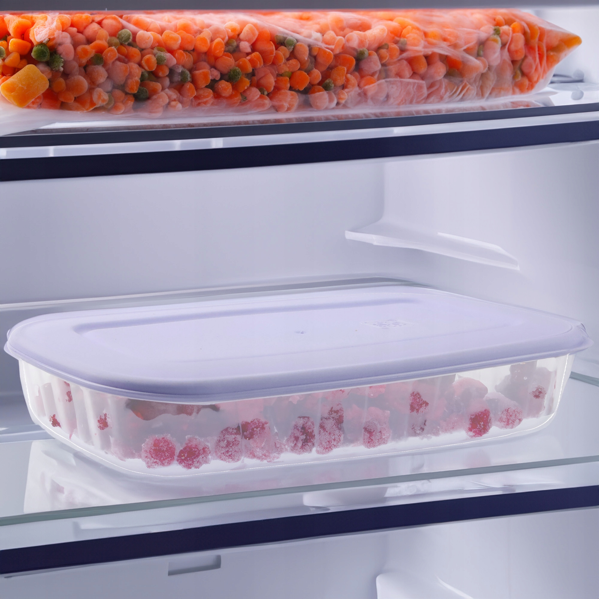 PLASTIKOWY POJEMNIK Z POKRYWKĄ DO PRZECHOWYWANIA ZAMRAŻANIA ŻYWNOŚCI 1,5L