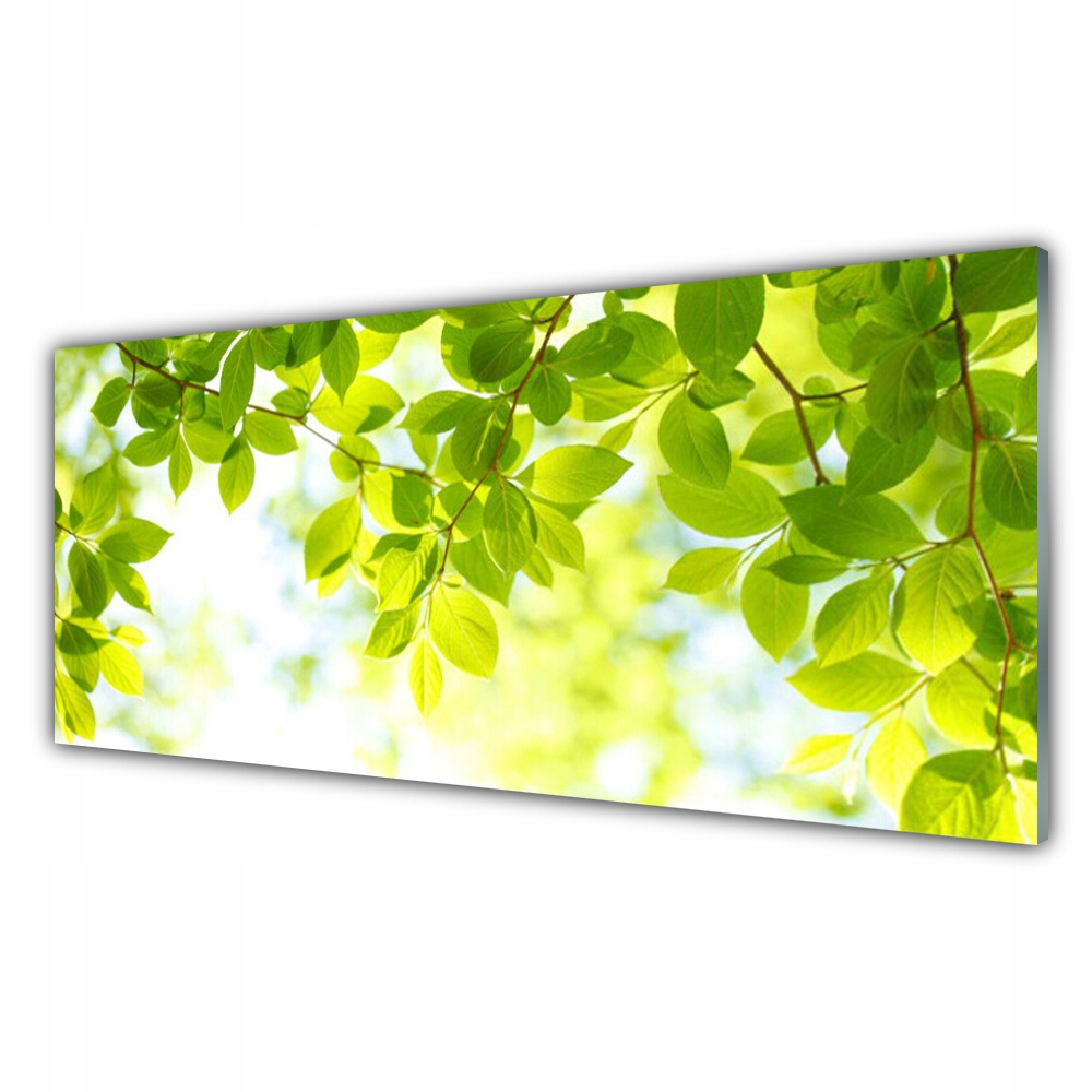 

Obraz akryl ścienny 125x50 Liście Natura Roślina