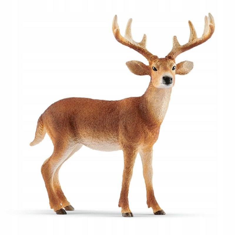

Schleich Mulak Białoogonowy Samiec 14818