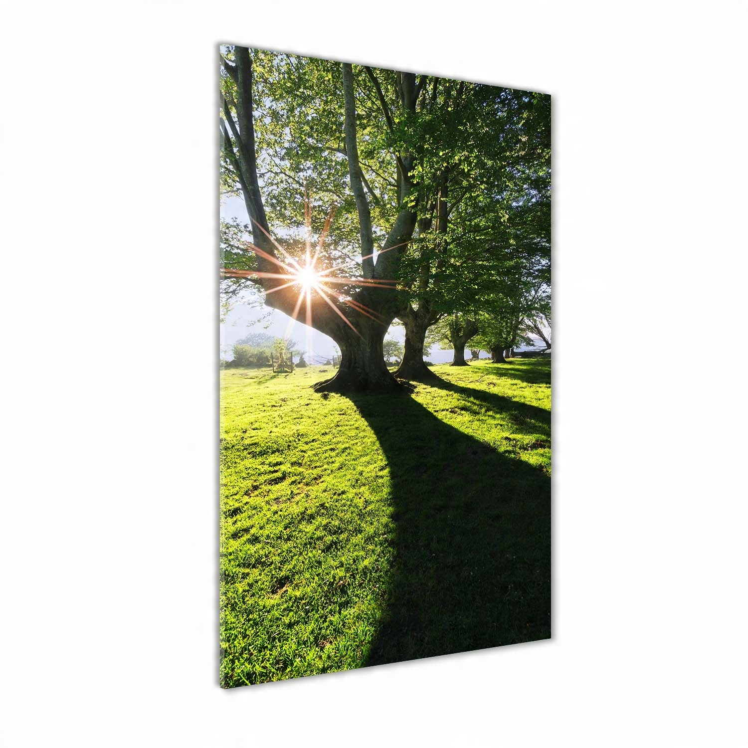 

Nowoczesny obraz zdjęcie na akrylu Park 70x140cm