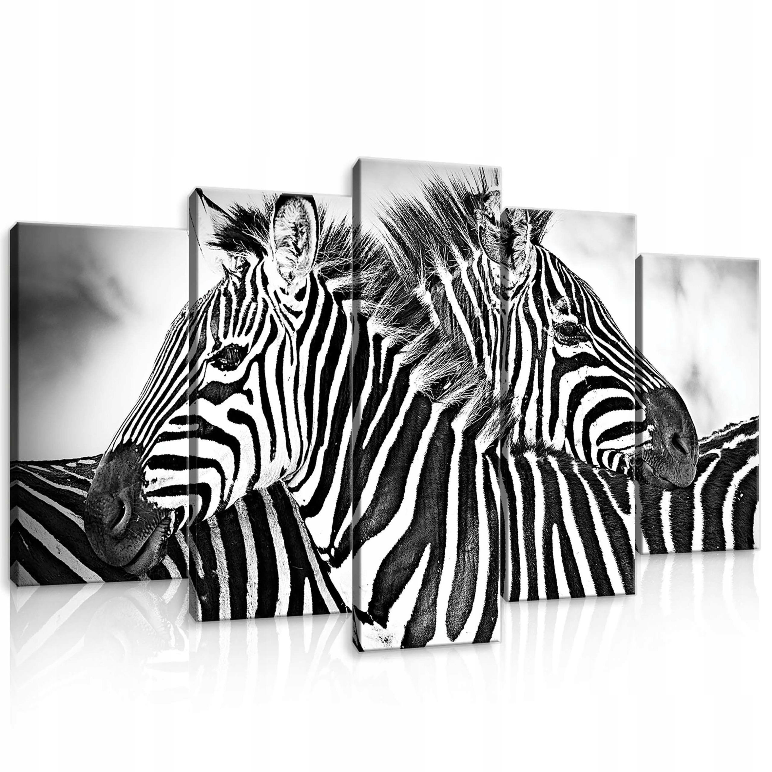Obraz 100x60 Zebra pruhy divoká příroda Afrika savana monochromatický