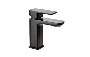 Valvex umývadlová batéria Loft čierna stojaca matná 2455900