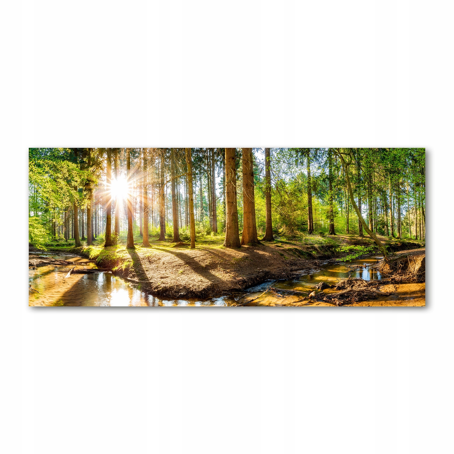 Fotoobraz akryl foto Panorama les 125x50 cm