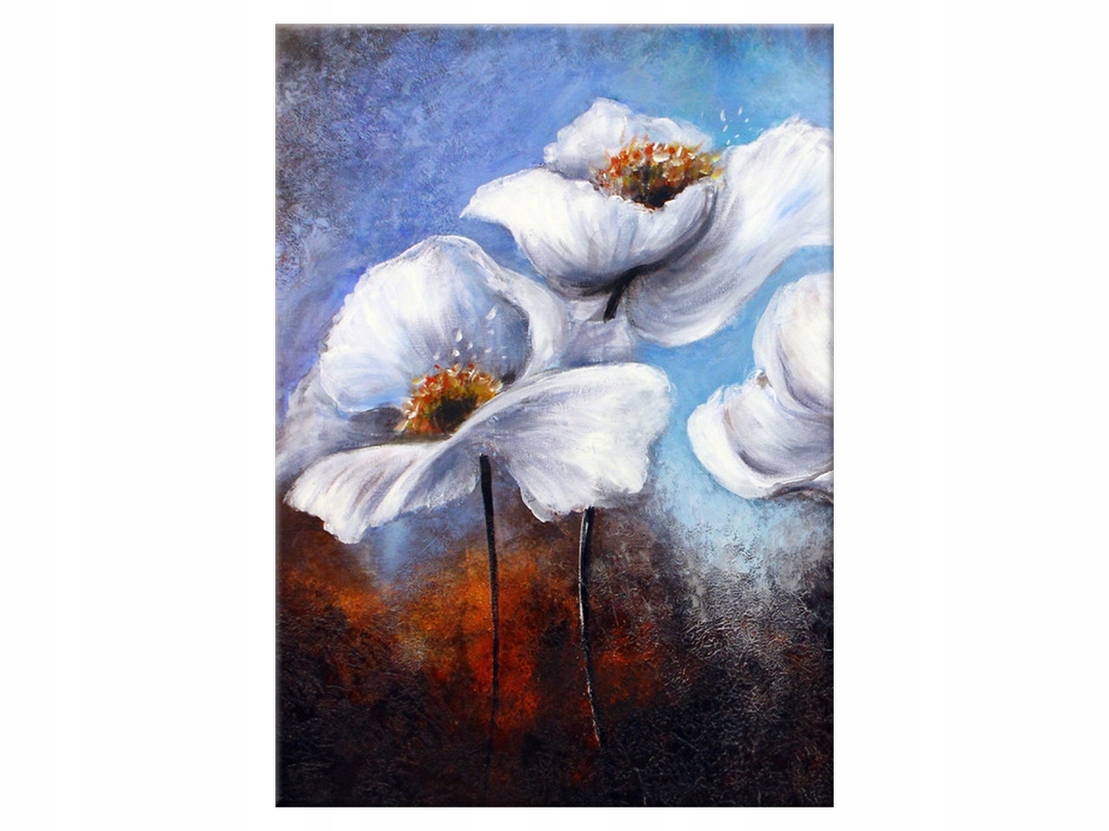 

Obraz Alpejskie maki 50x70 Reprodukcje malarstwa
