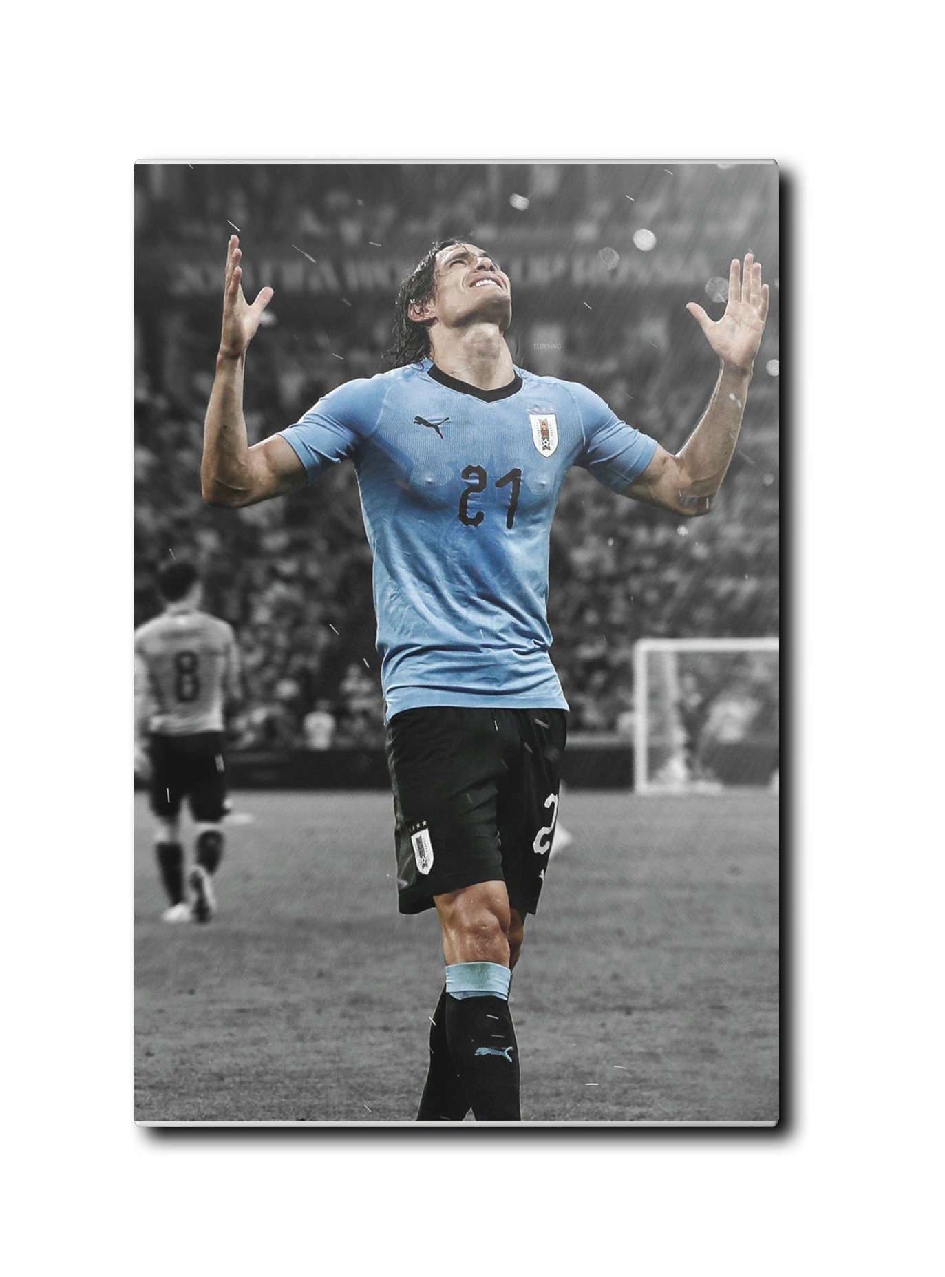 

Foto obraz 70x50 Edinson Cavani 03