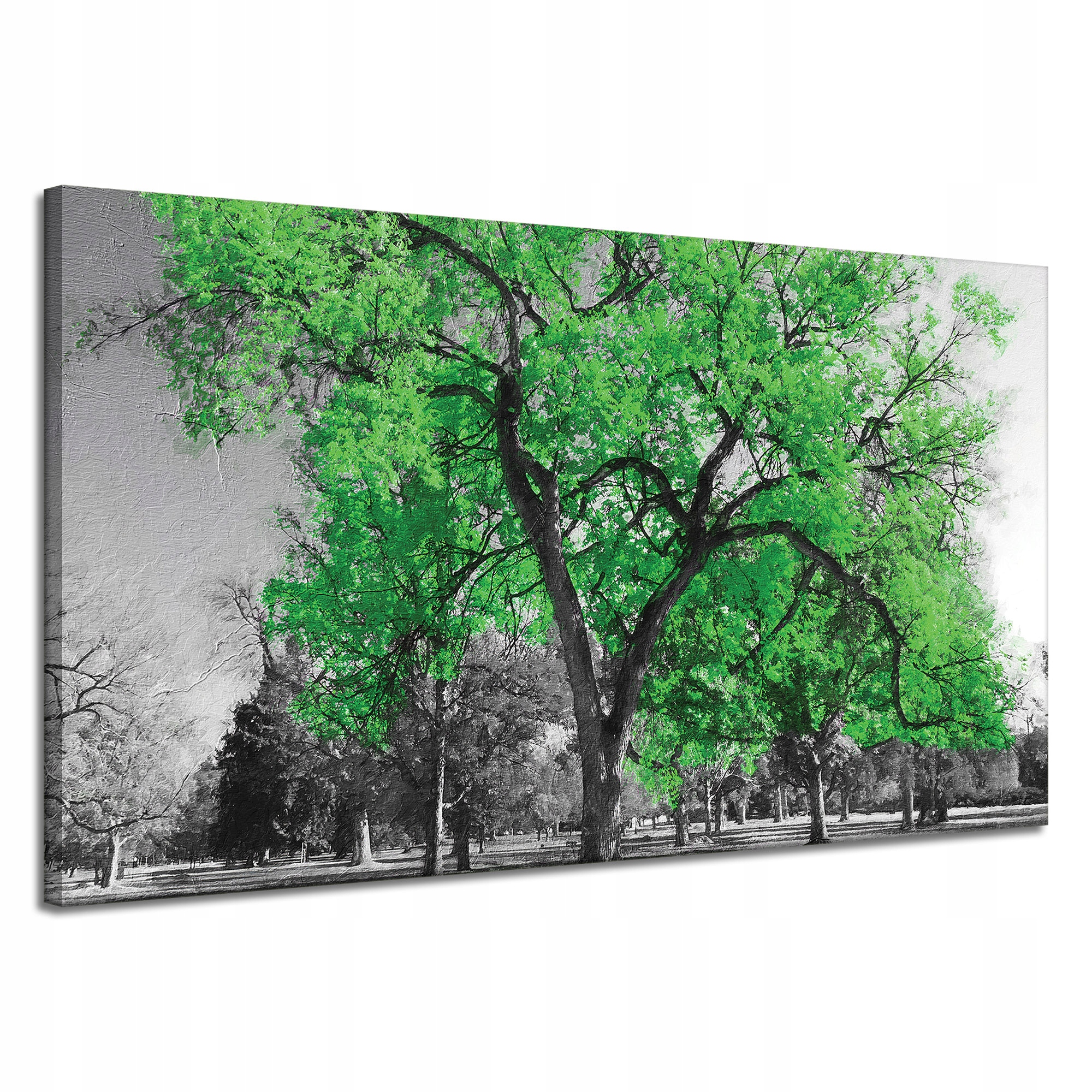 Obraz na plátně Černé Stromy Zelené Listy Umění 120x70 cm