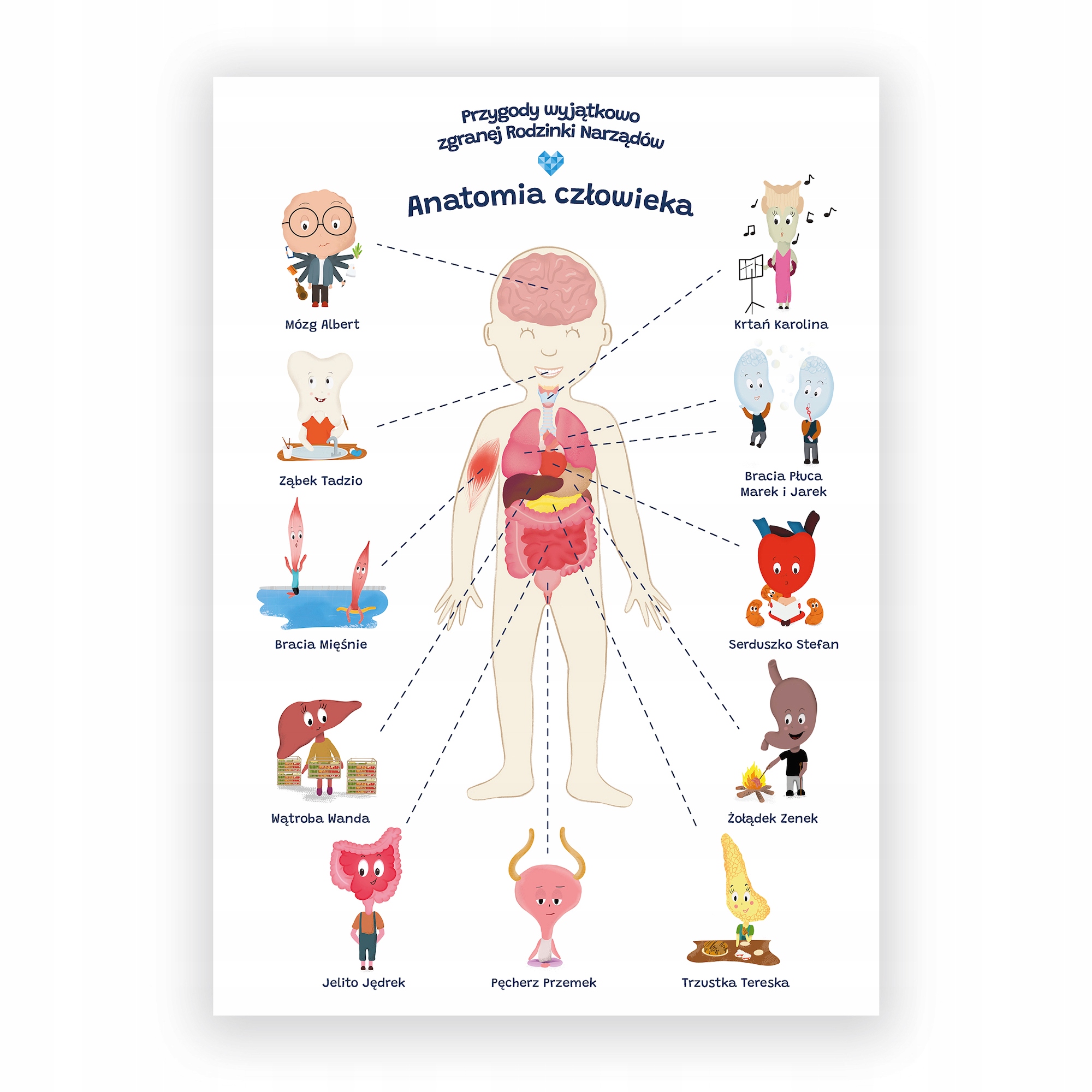 Vzdelávací plagát anatómia človeka pre dieťa formát A2
