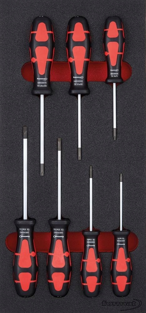 Nářaďový modul 1/3 vruty Torx Format