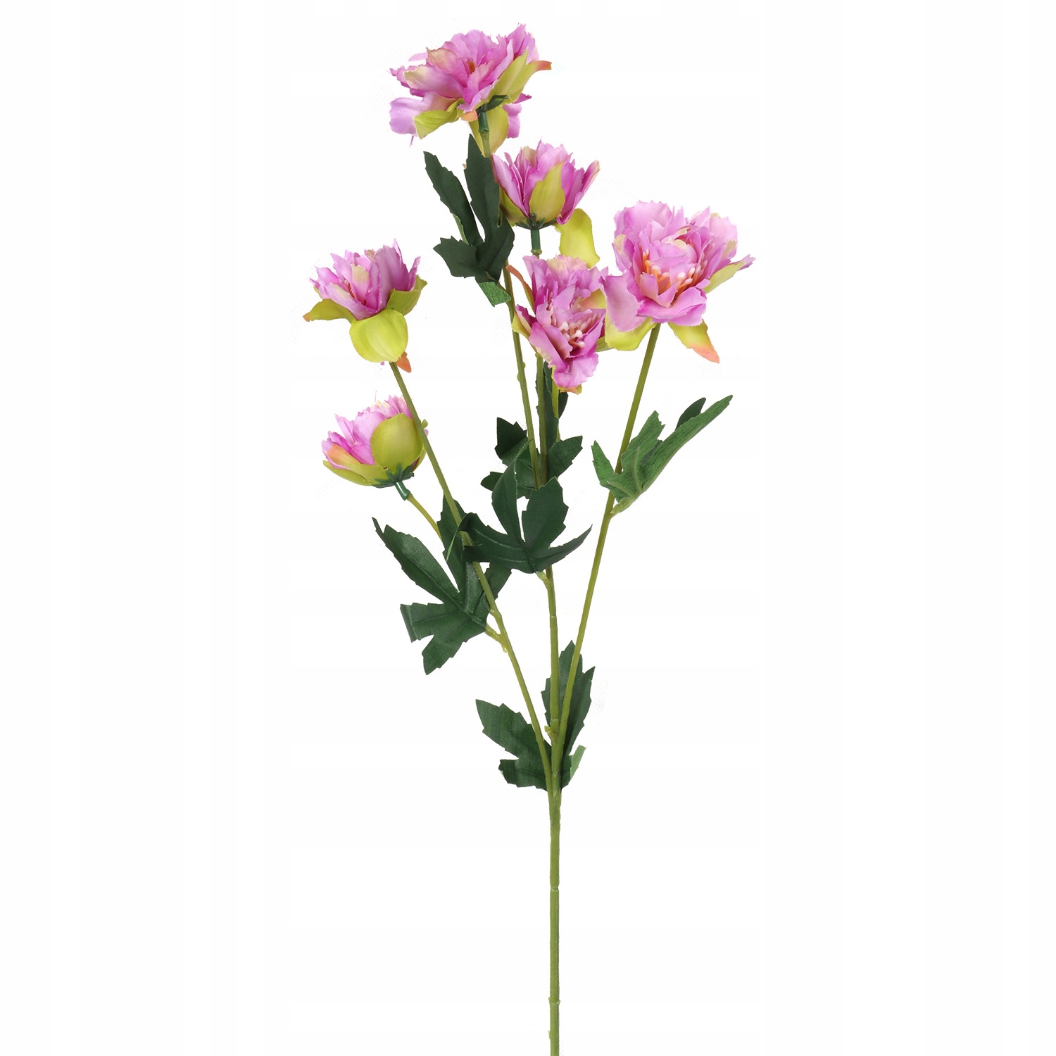 

Gałązka Mini Piwonii Fioletowych 60cm