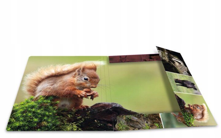 Картонная папка A3 с ластиками, лесные животные EAN (GTIN) 4008705194518