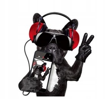 

Termo Naklejka Aplikacja Naprasowanka Mała B1