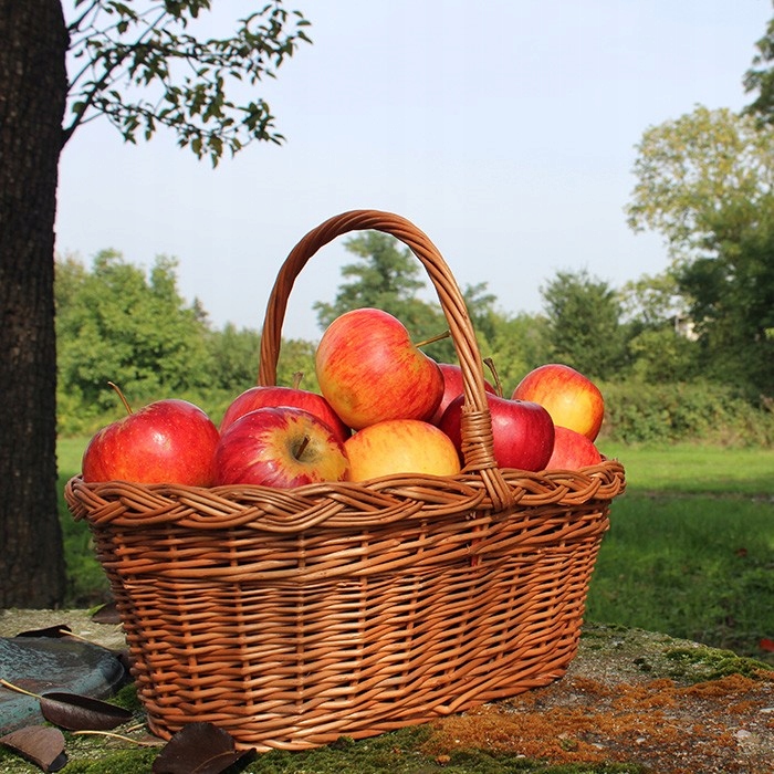 oválný koš s opletením 054100