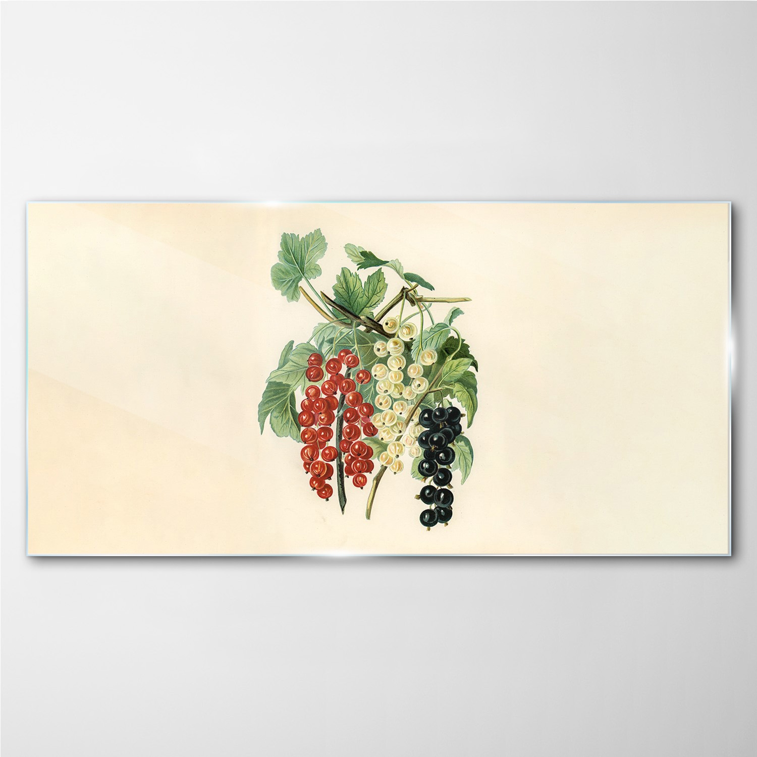 

Foto-obraz szklany Owoce gałąź liście 100x50 cm