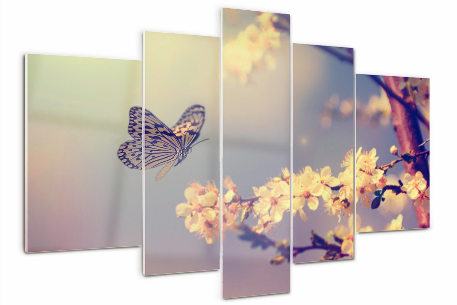 Foto Obraz skleněný triptych Višňový květ a motýl
