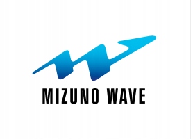 Buty do Padla Mizuno Wave Exceed Light 2 Padel rozm.42 Model Exceed Light 2 AC