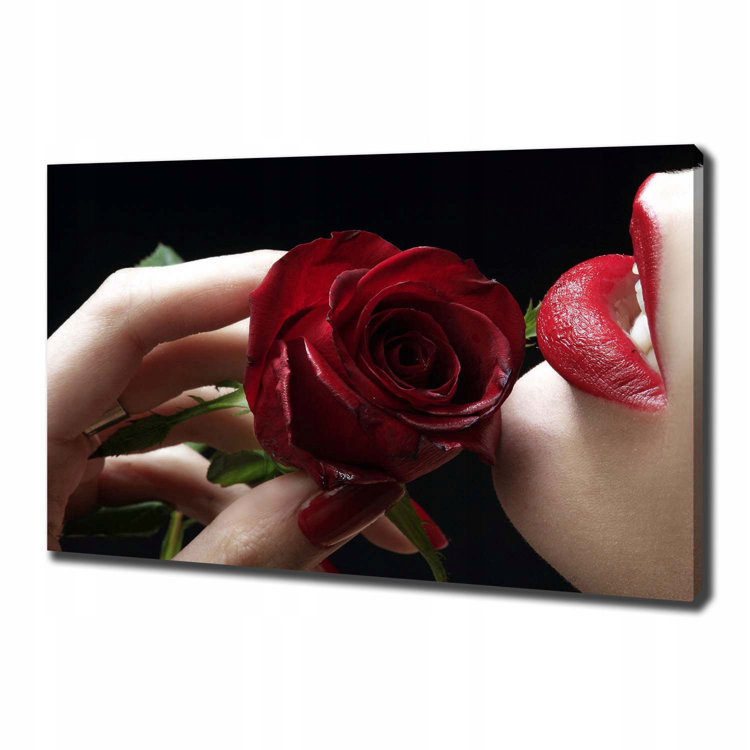 

Foto obraz na płótnie Kobieta z różą 100x70 cm