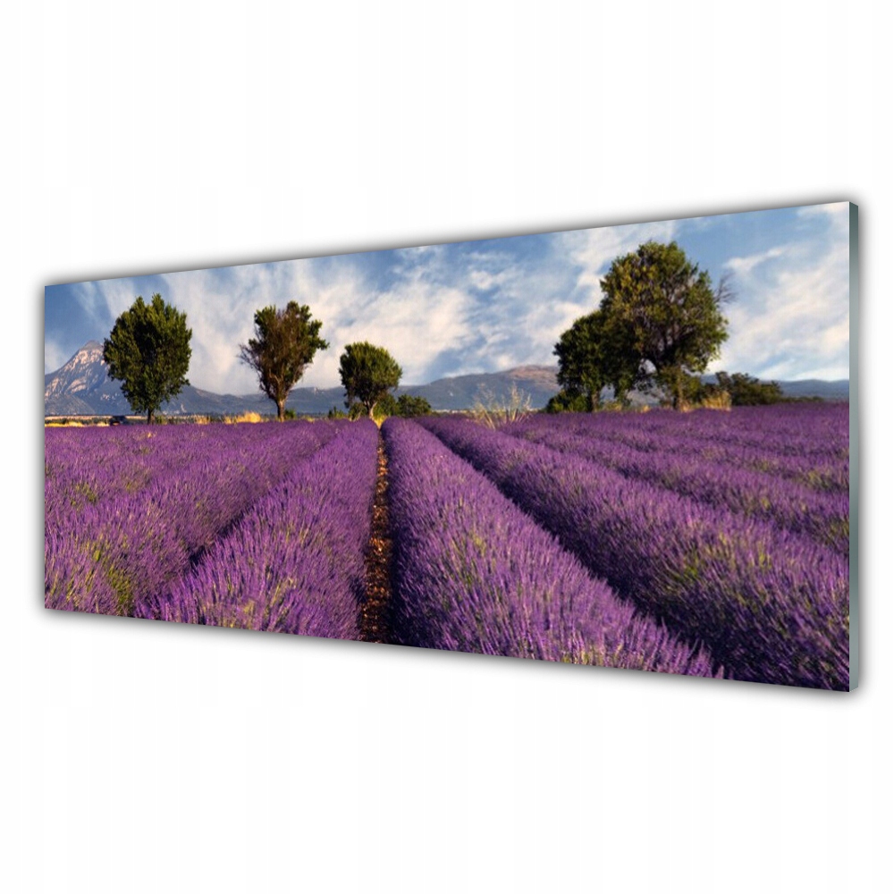 

Obraz akryl na ścianę 125x50 Łąka Drzewa Przyroda