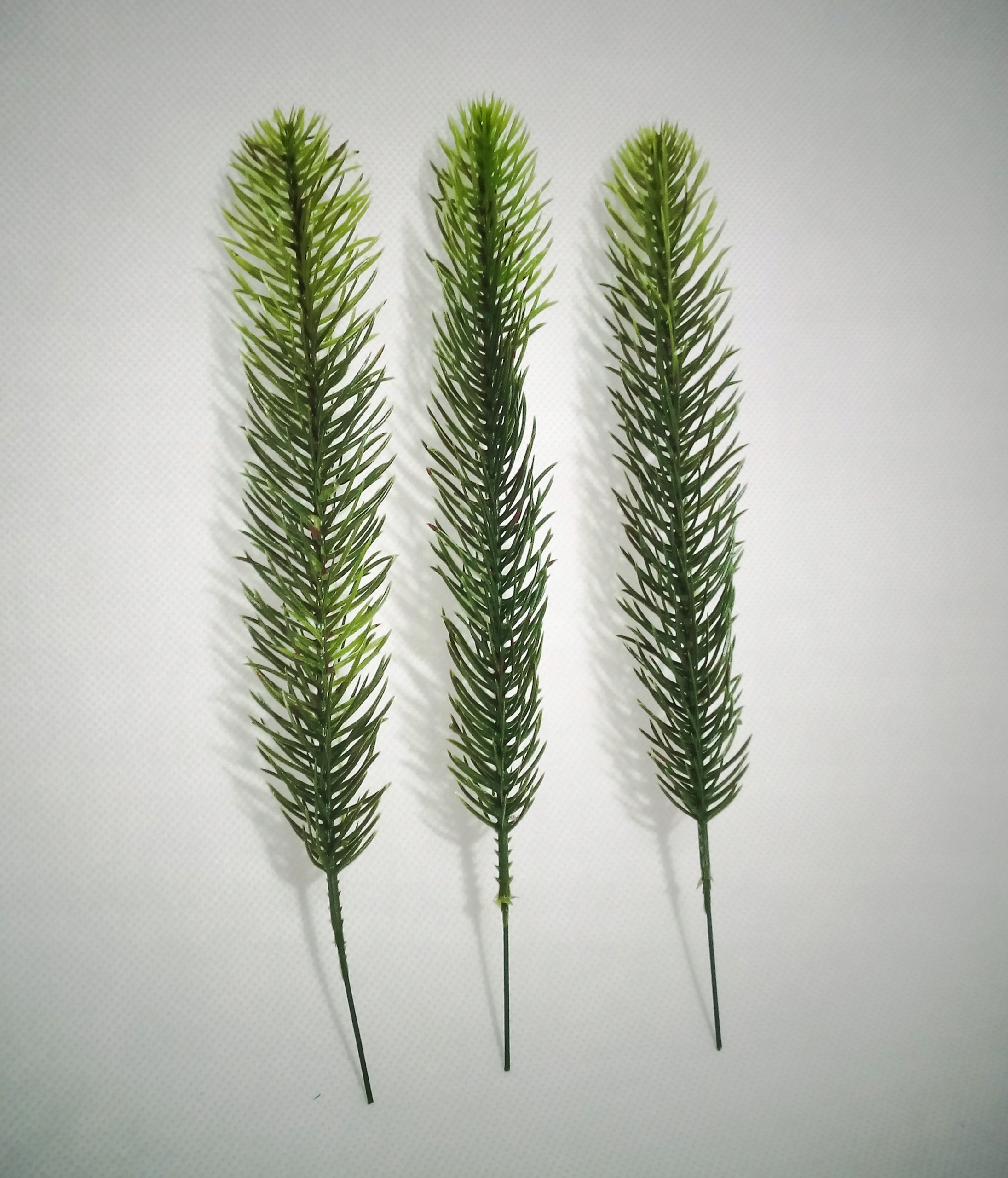 Gałązka Pu PE GUMOWA JAKżywa świerk choinka pojed