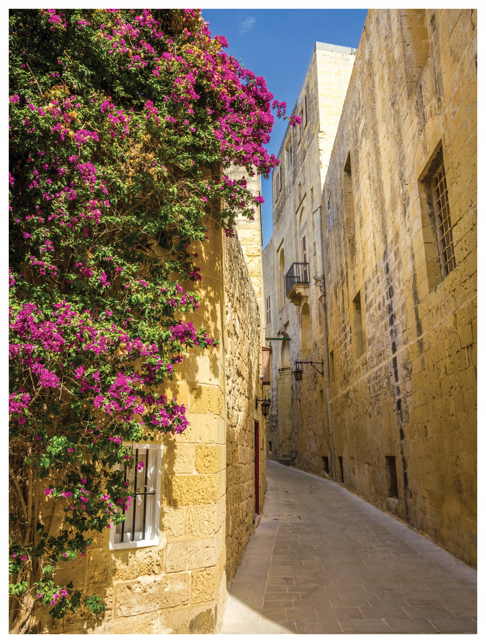 Fototapeta Ulička v květinách, kamenná, vinylová, 184x254 lepidlo