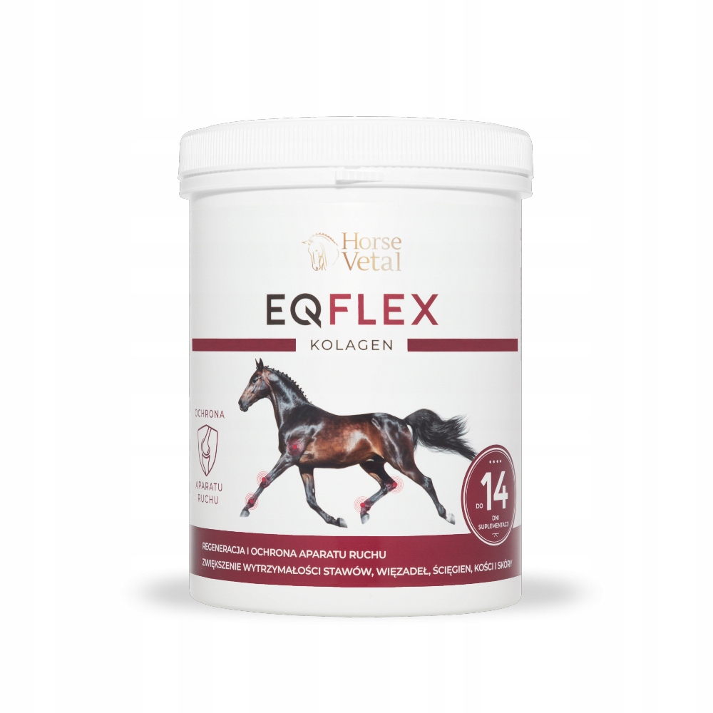 Kolagen 0,4 kg HorseVetAL dla koni Collagen