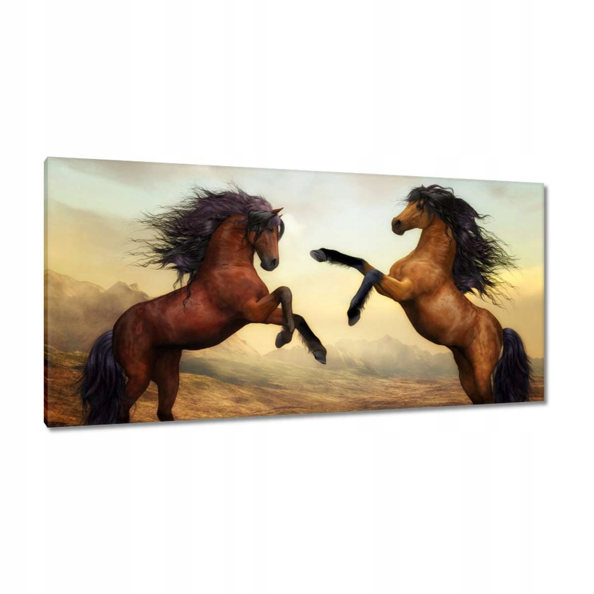 Obrazy 115x55 Koně Rumaki