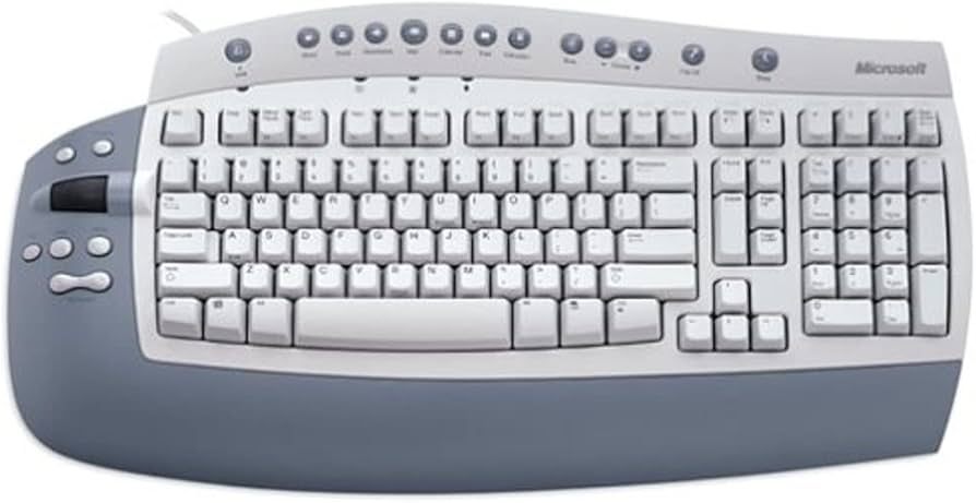 Multimediálna klávesnica Microsoft Office Keyboard Qwerty, Pl
