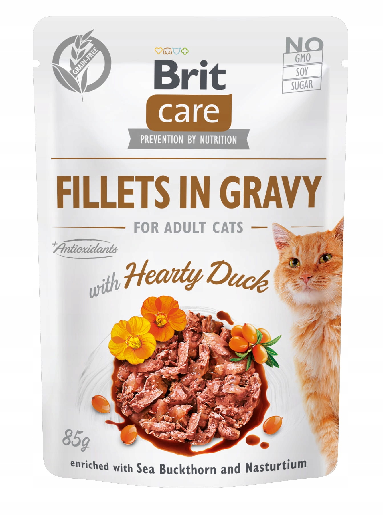 Levně 13x Brit Care Cat Fillets Gravy Hearty Duck 85g