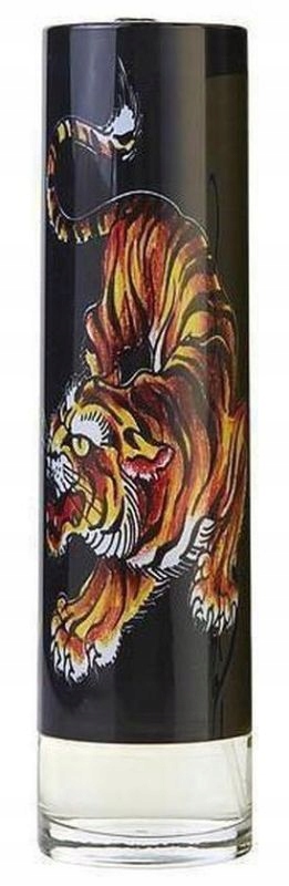 Christian Audigier Ed Hardy Men´s Edt 100 ml Sprej