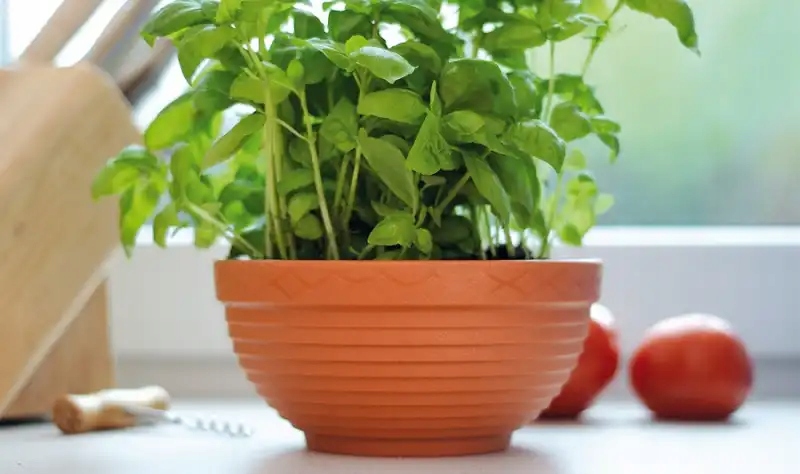 Doniczka misa ogrodowa 65cm terakota DMS12-R624 Kształt Okrągły