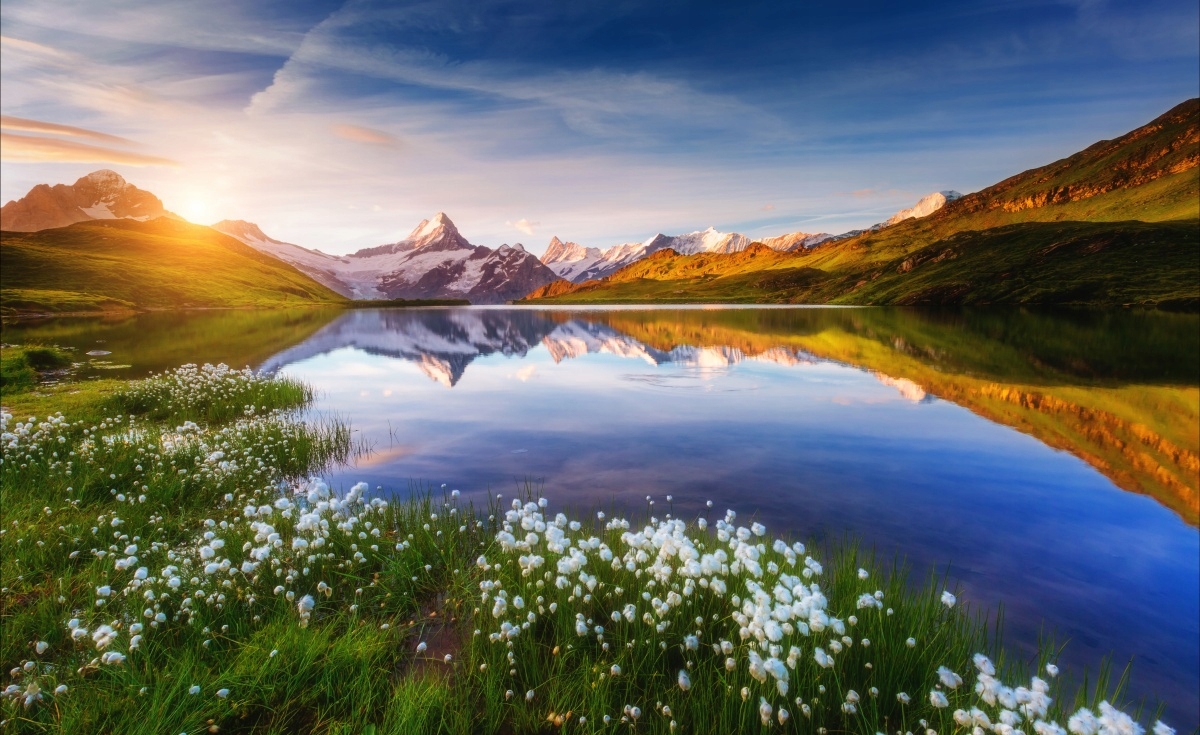 

Fototapeta Flizelinowa Góra Schreckhorn 416x254