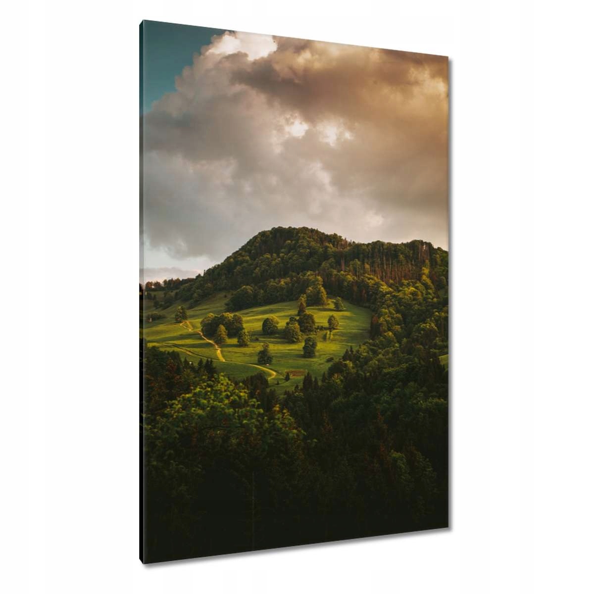 Obrazy 80x120 Krajina Pieniny