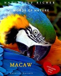 

Macaw Garnett Katarina