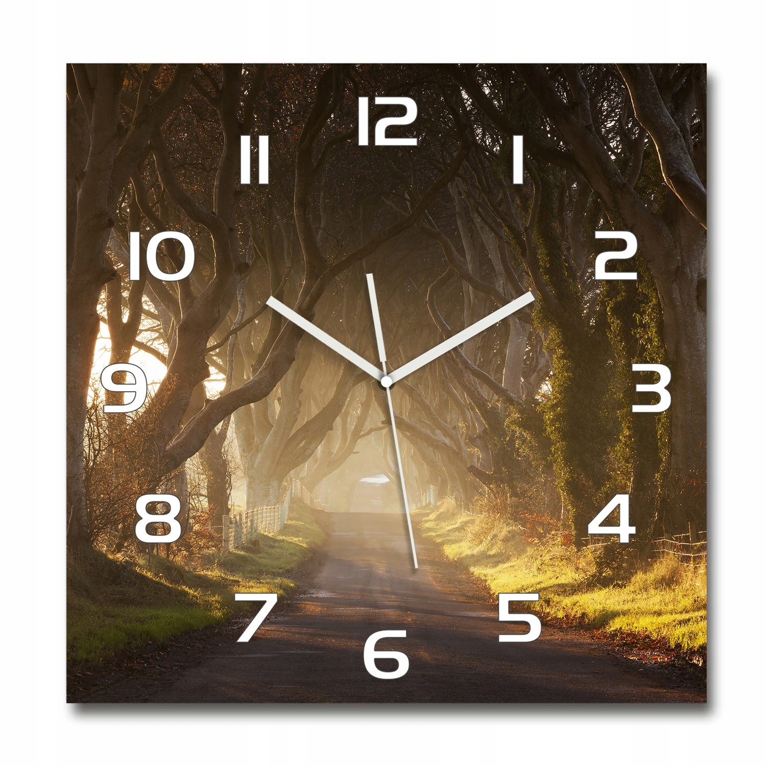 

Duży zegar ze szkła hartowanego Mgła w lesie 60x60