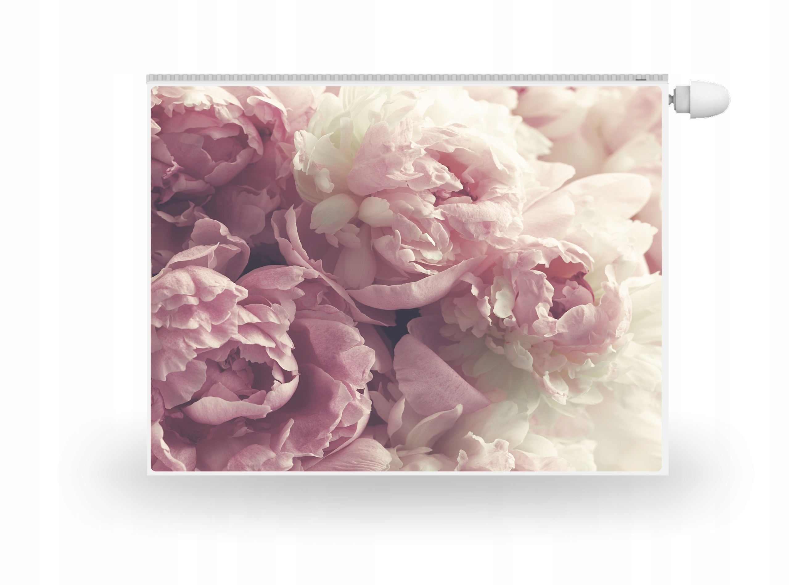 MAGNES MATA MAGNET NA KALORYFER piwonie