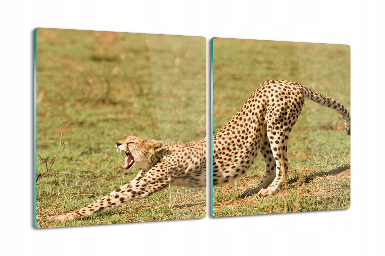 Pevná kuchyňská krájecí deska Tvrzená 2x40x52 Gepard příroda